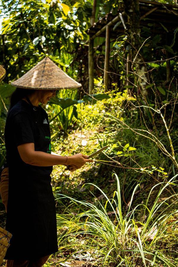 Kebun Kita Eco Lodge Padangan  Ngoại thất bức ảnh
