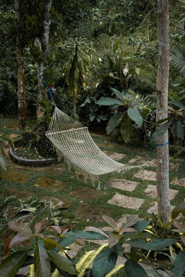 Kebun Kita Eco Lodge Padangan  Ngoại thất bức ảnh