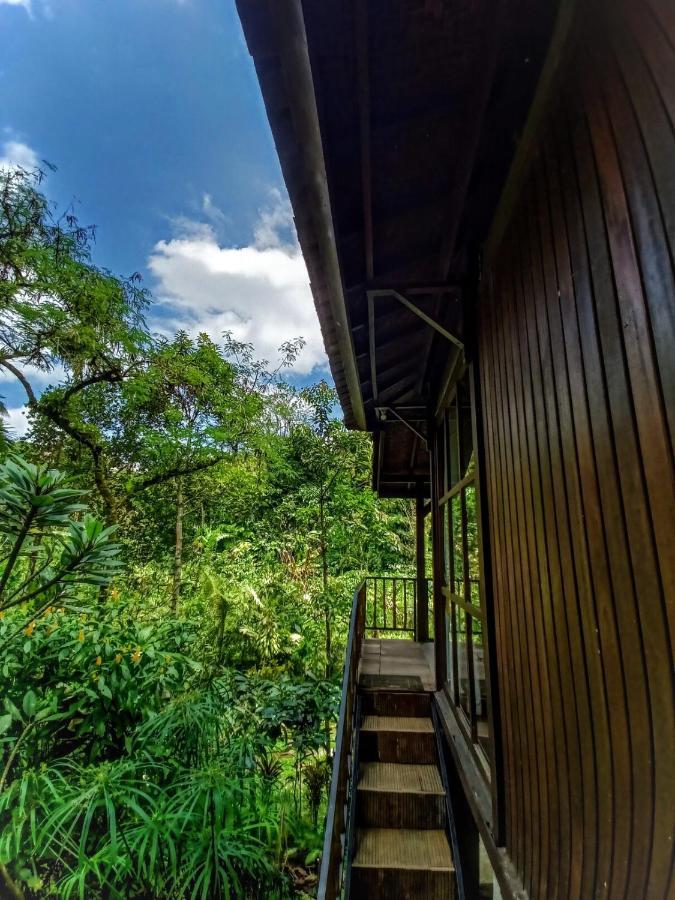 Kebun Kita Eco Lodge Padangan  Ngoại thất bức ảnh
